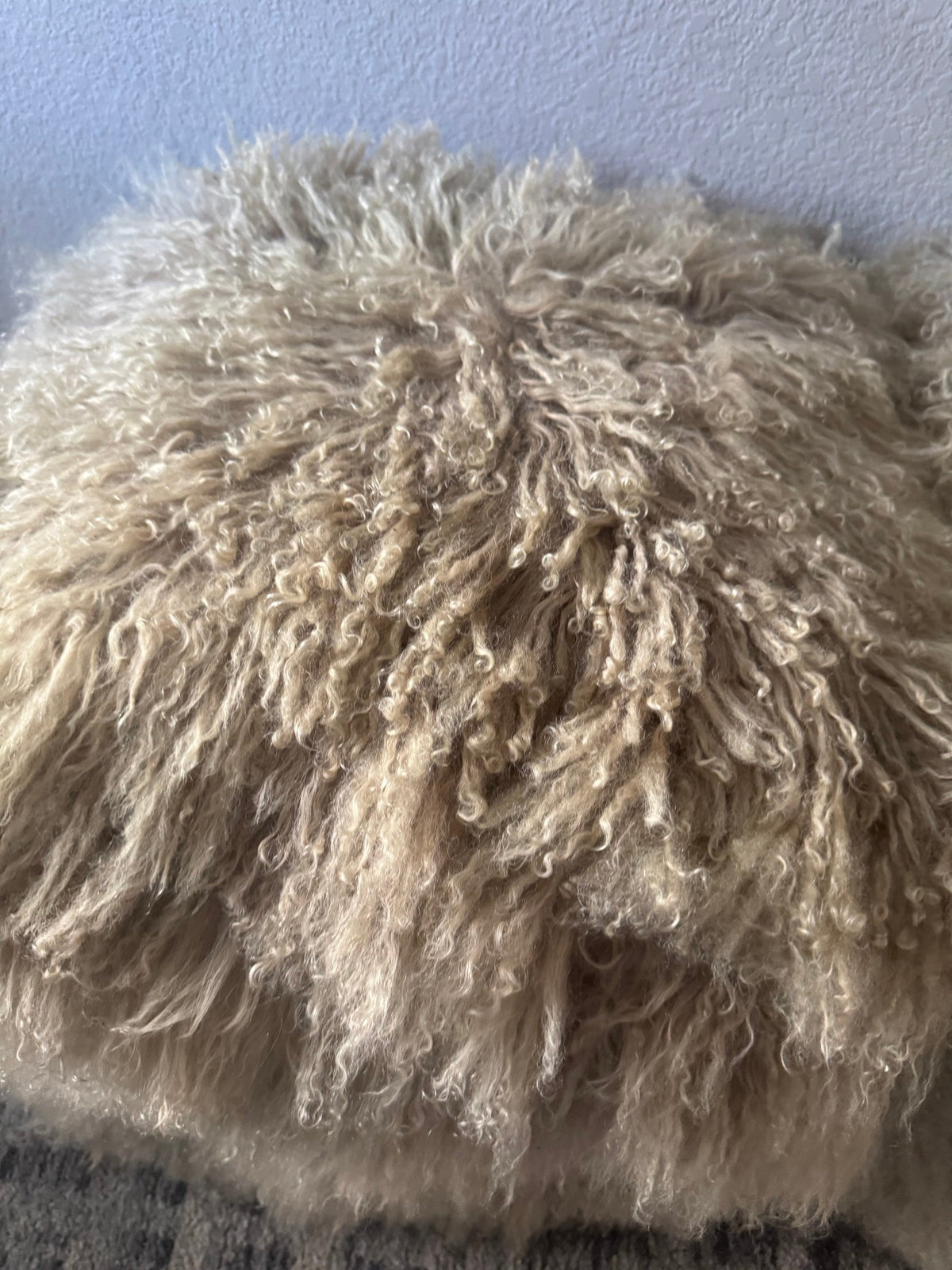Close view of the fur texture