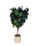 Faux Ficus Tree 7ft Artificial Silk Plant White Planter Green Indoor Very Good