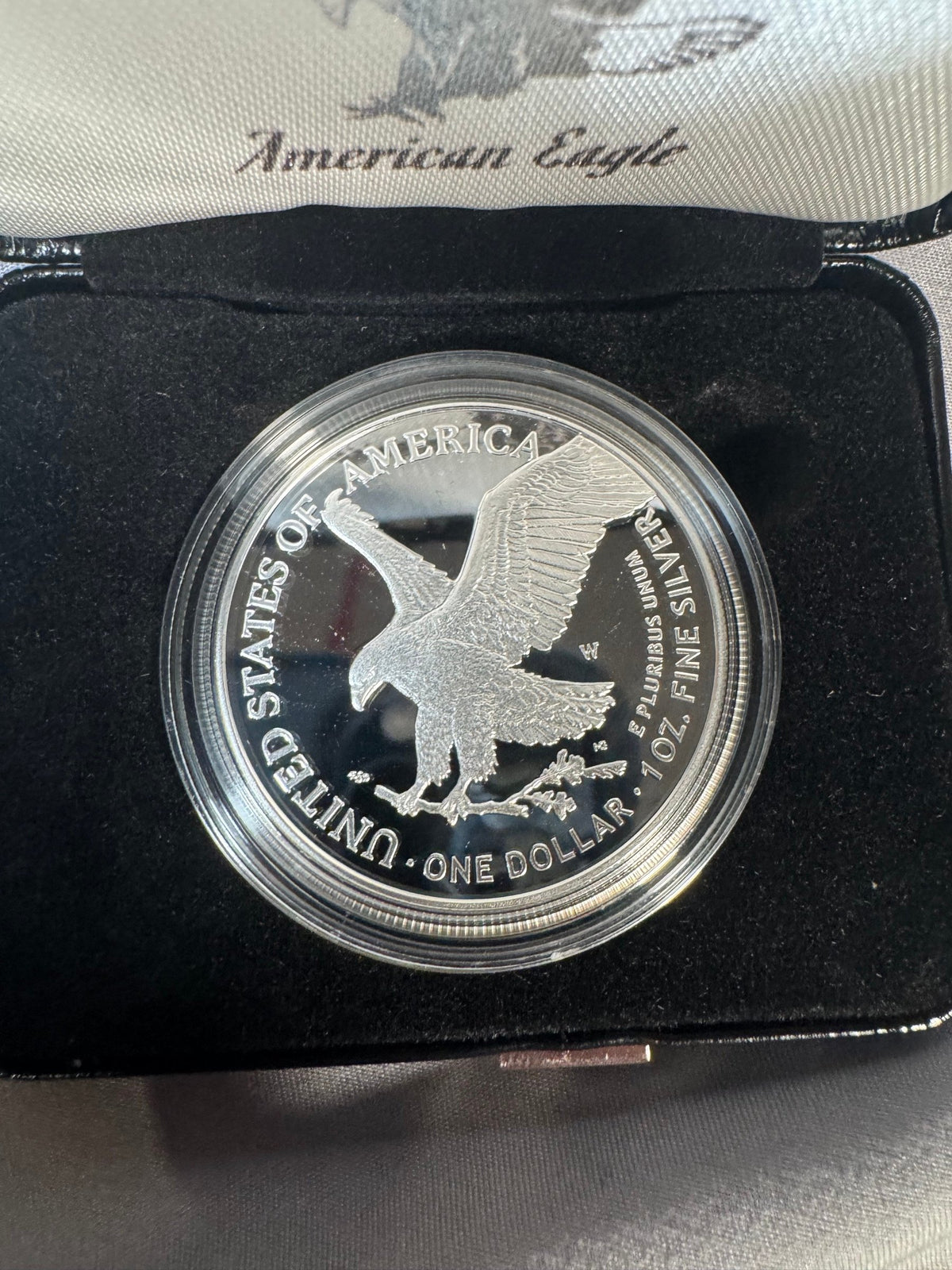 2025 Laser Engraved American Eagle One Ounce Silver Proof Coin US Mint Box COA