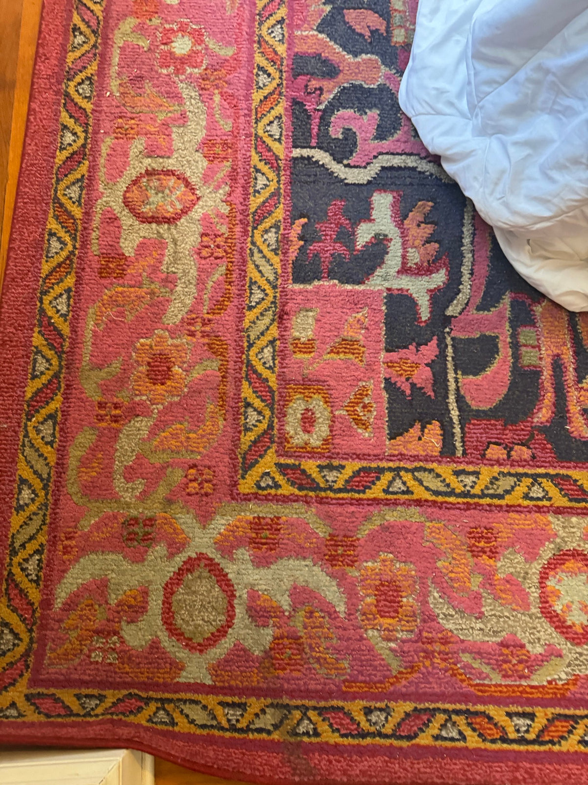 Violet pink nuLOOM Casablanca rug with navy border
