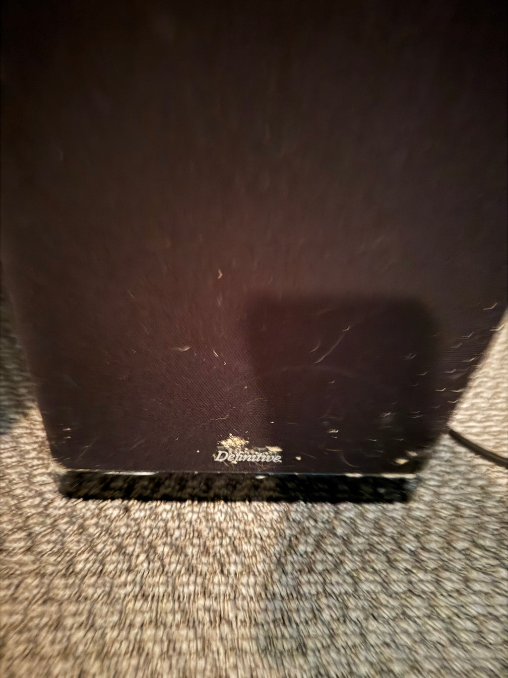 Close-up of the cloth grille base showing the Definitive logo and dust and debris