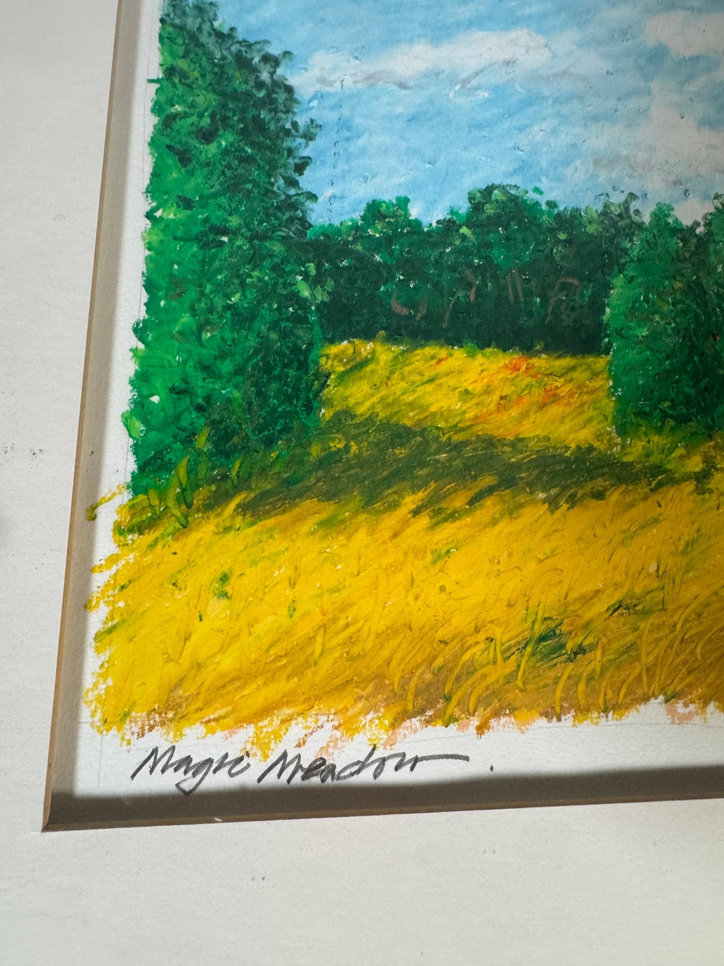 Original Signed D. Hagen Oil Pastel Landscape Magic Meadow 1992 Framed