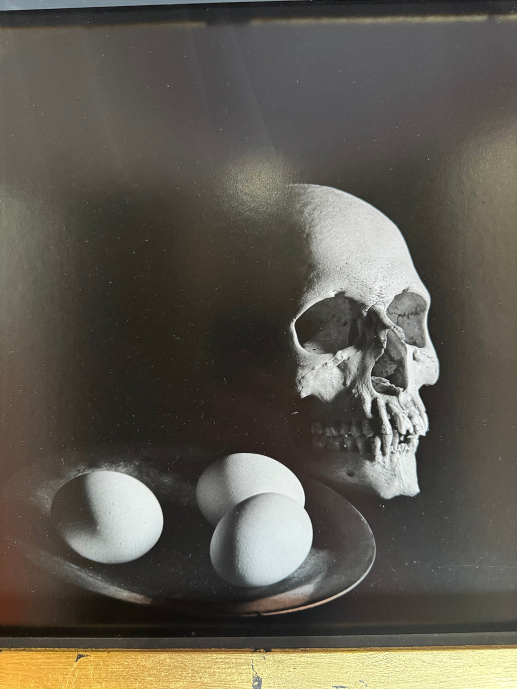 Close view of the skull and eggs photograph