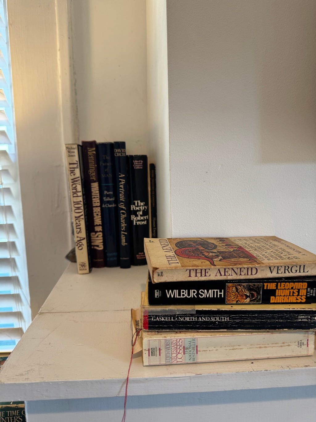 Horizontal stack of classic literature including The Aeneid by Virgil, Wilbur Smith, The Leopard Hunts in Darkness, and Gaskell North and South on white shelf