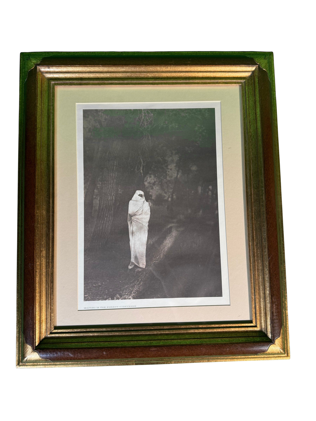 Edward S. Curtis Waiting in the Forest Cheyenne Photogravure Framed Print