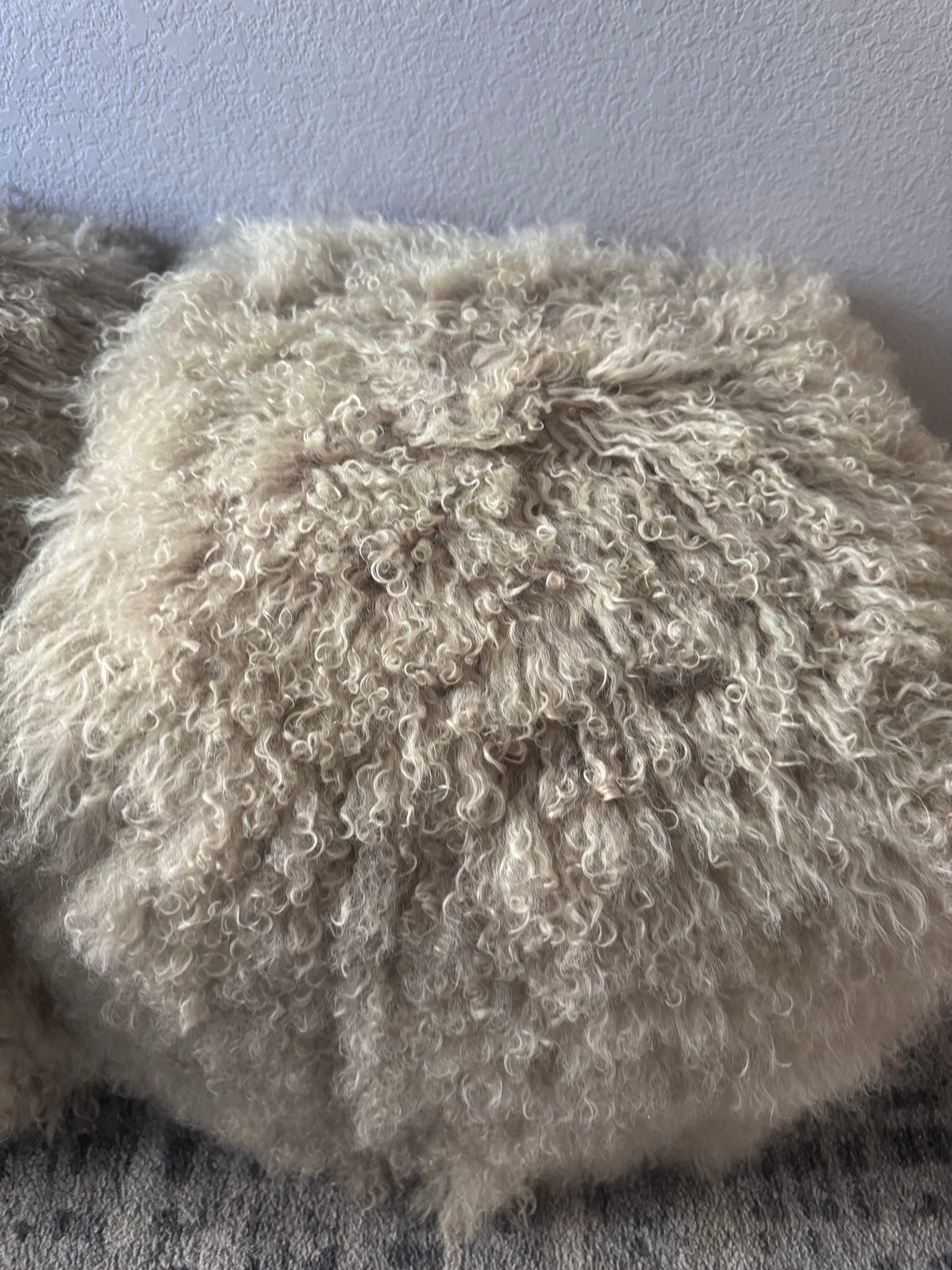 Close view of curly lamb fur on a pouf
