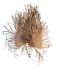 Dried palm fan arrangement in a corner