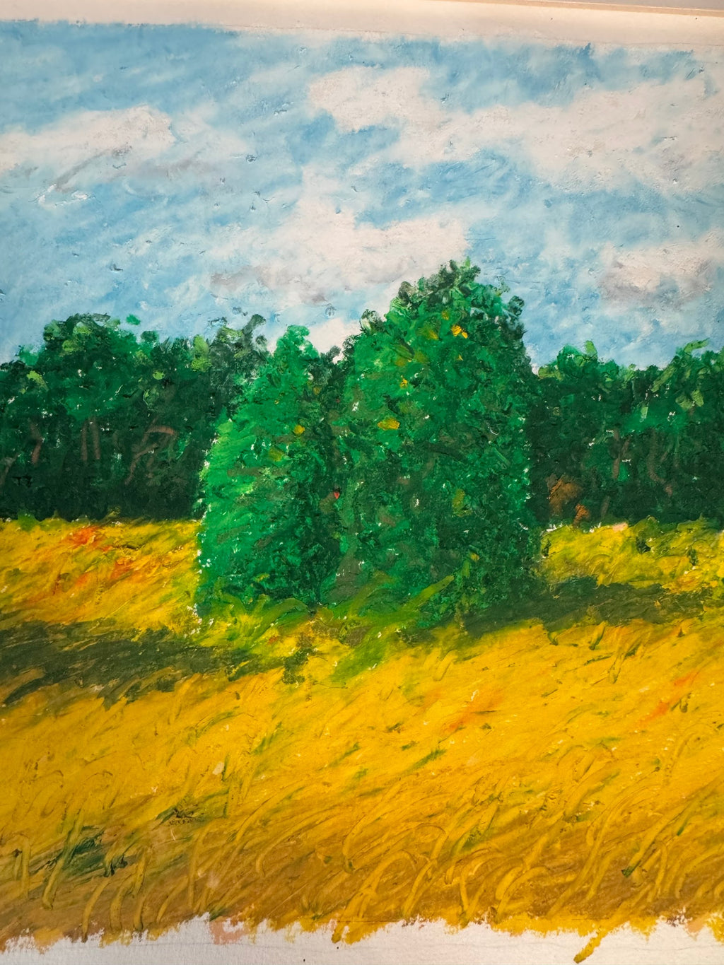Original Signed D. Hagen Oil Pastel Landscape Magic Meadow 1992 Framed