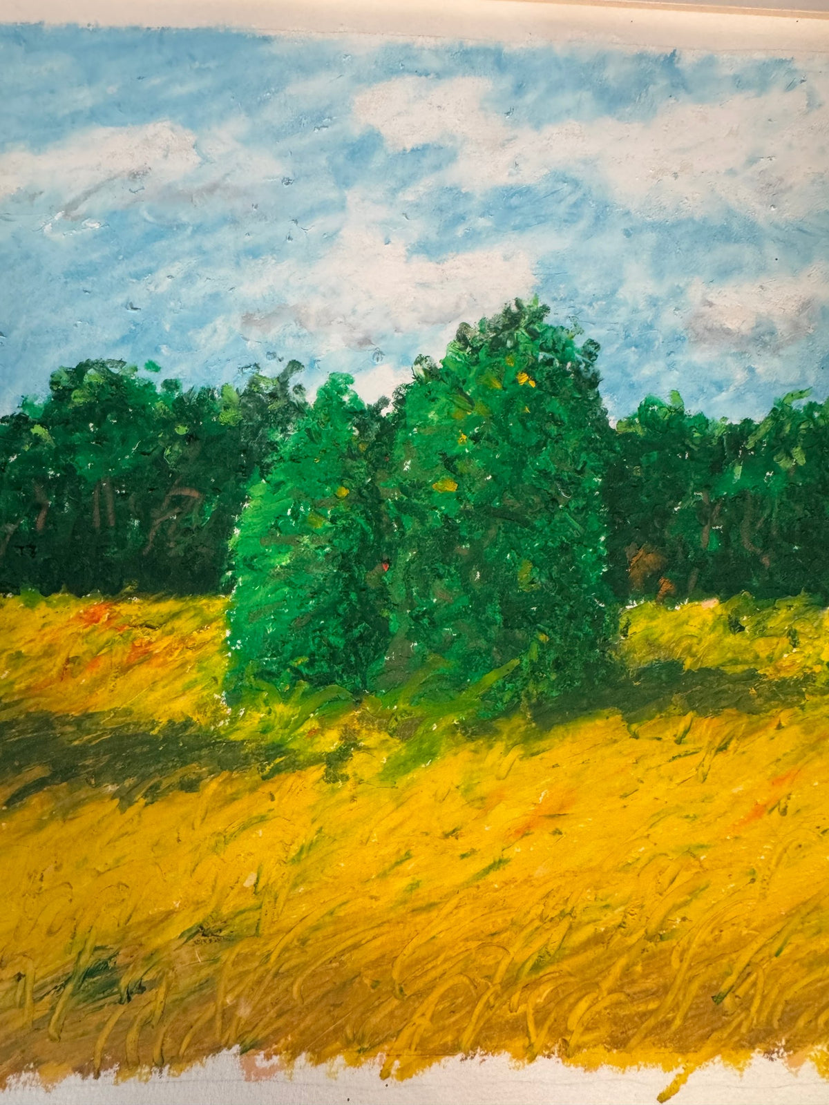 Original Signed D. Hagen Oil Pastel Landscape Magic Meadow 1992 Framed
