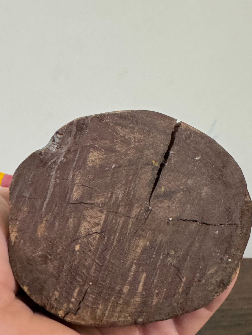 Close-up of circular wooden base showing grain, cracks and weathered brown patina