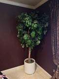 Faux Ficus Tree 7ft Artificial Silk Plant White Planter Green Indoor Very Good