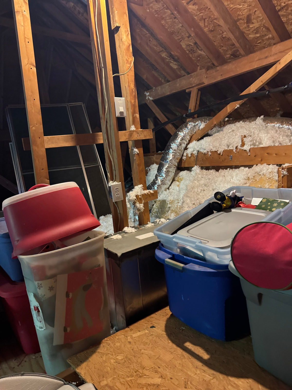 Group of red, blue and clear plastic storage totes with lids in attic near insulation