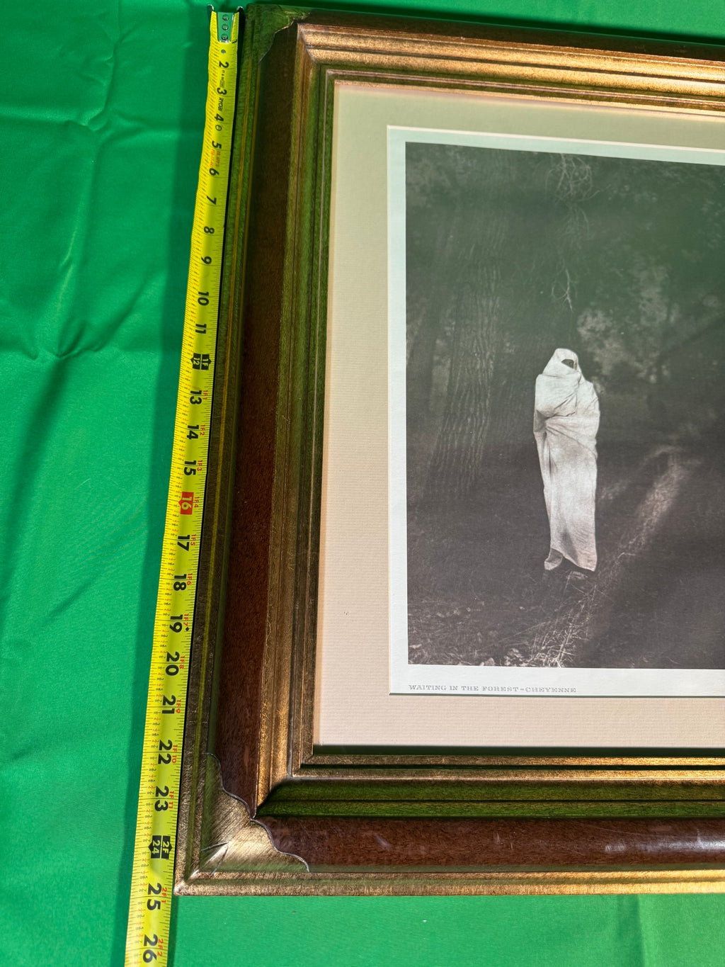 Edward S. Curtis Waiting in the Forest Cheyenne Photogravure Framed Print