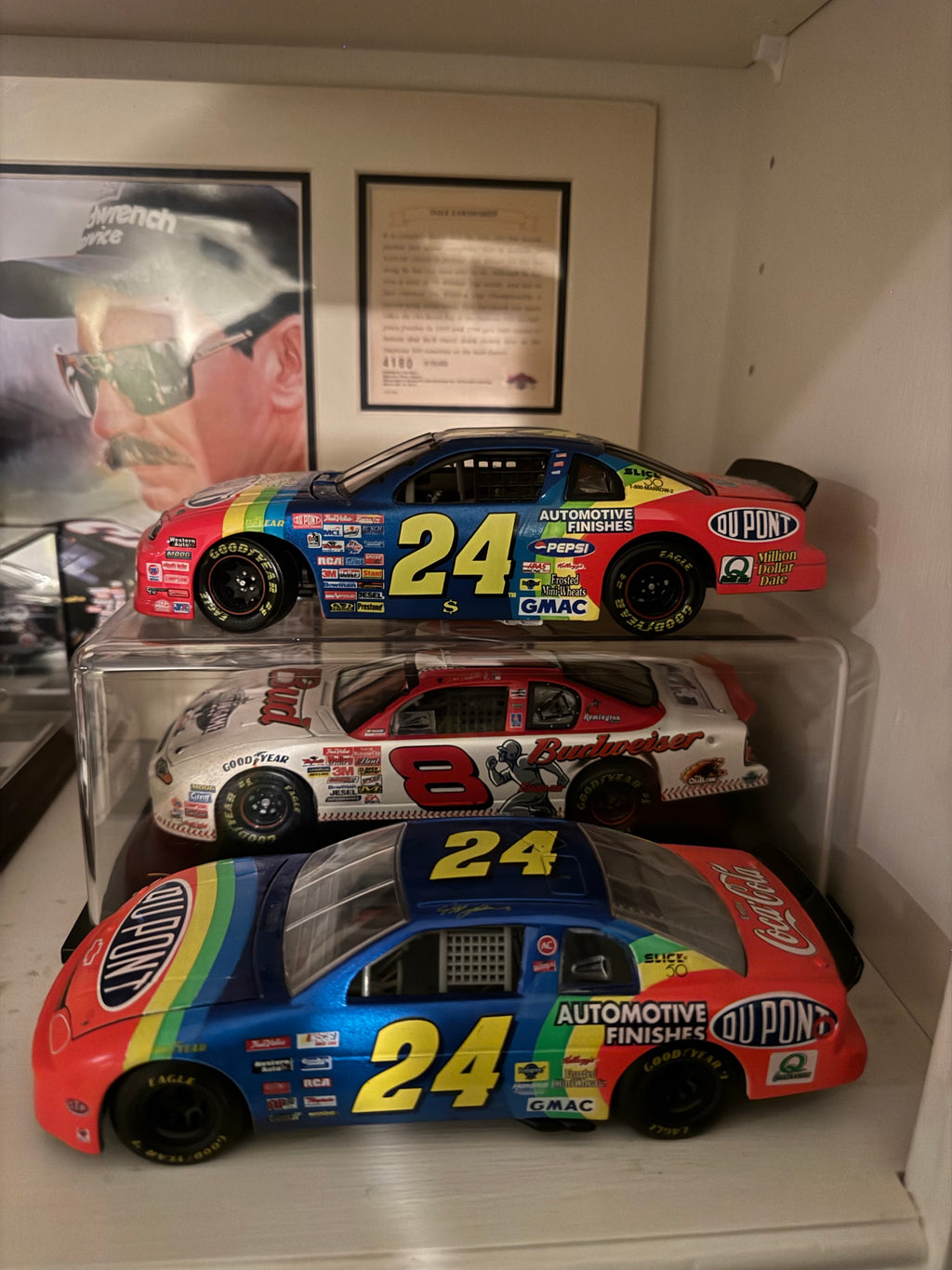 Two Gordon #24 rainbow cars with the Budweiser #8 car in a clear case, framed print behind