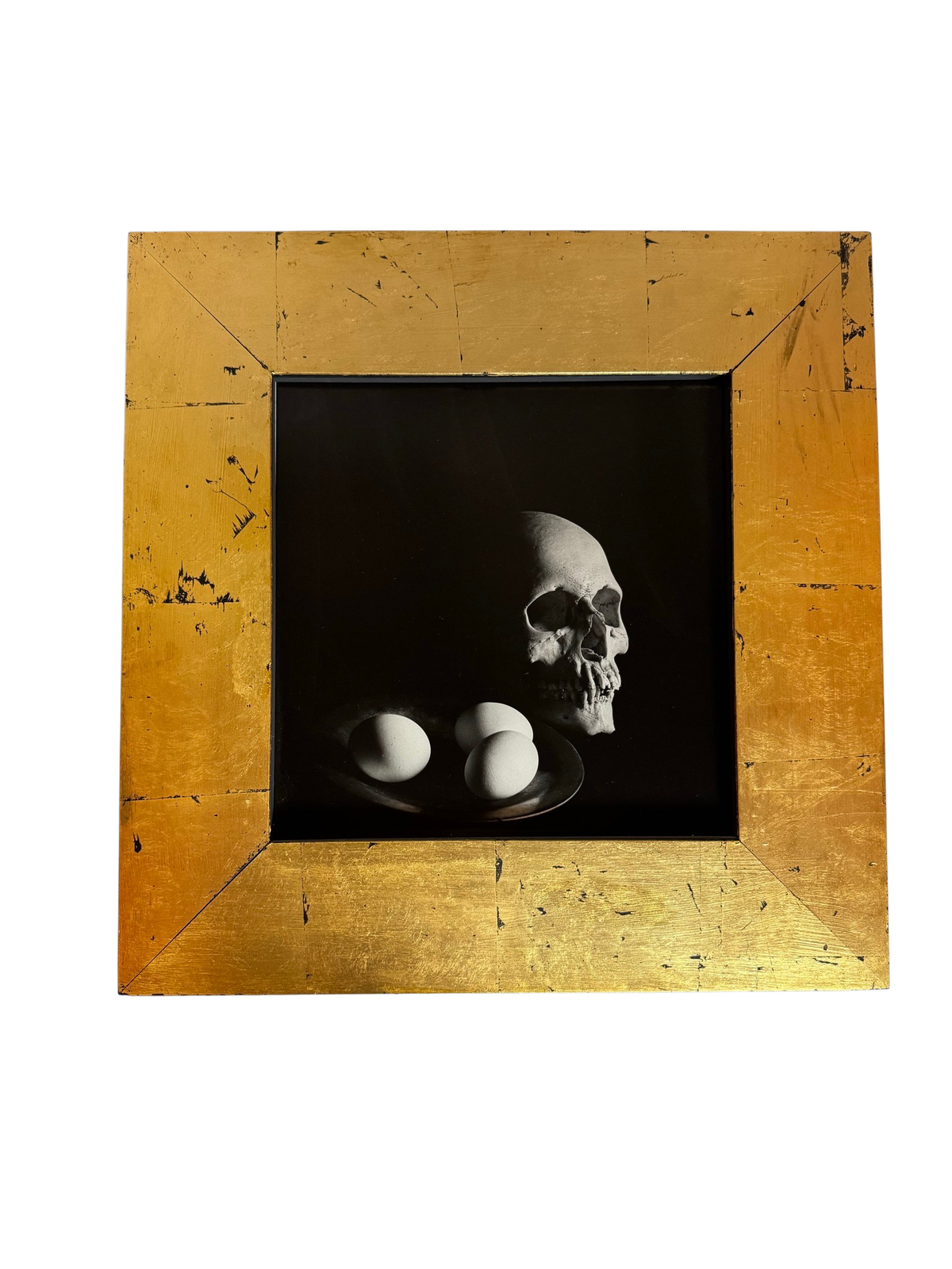 Black-and-white vanitas photograph of a skull and eggs in a gold-leaf frame