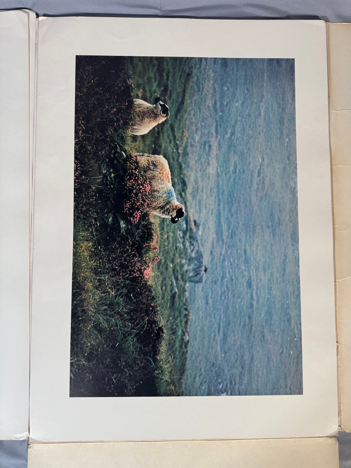 David Douglas Duncan Portfolio 1972 Inscribed Colour Offset Lithograph Plates