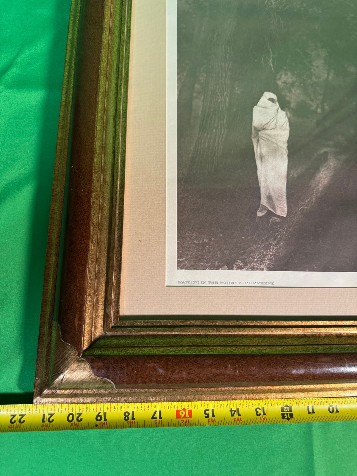 Edward S. Curtis Waiting in the Forest Cheyenne Photogravure Framed Print